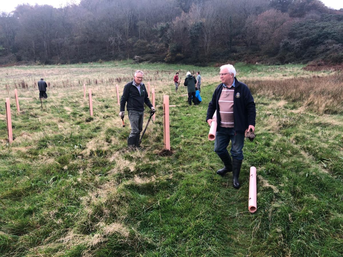 Rotary Club of Douglas plant trees at the Crossags